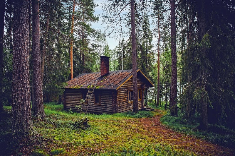 Eco-Friendly Cabin in the Woods