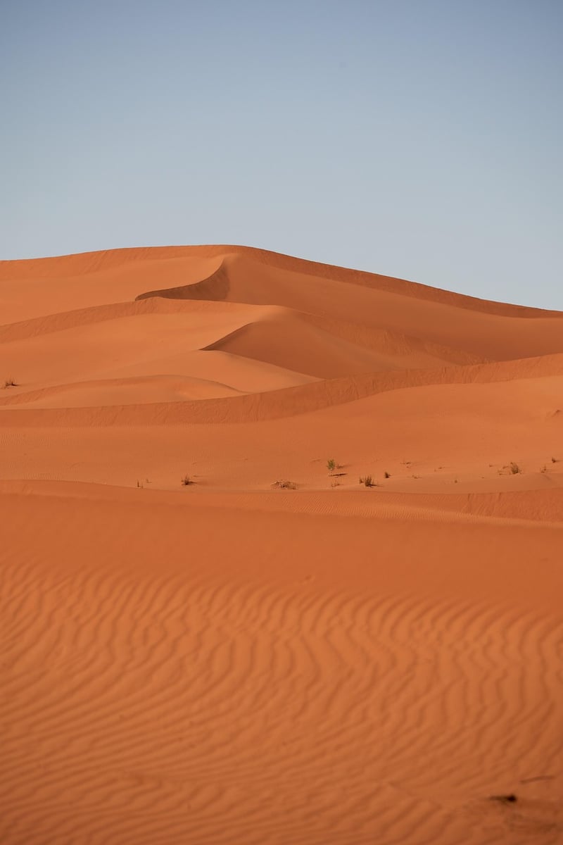 Simpson Desert